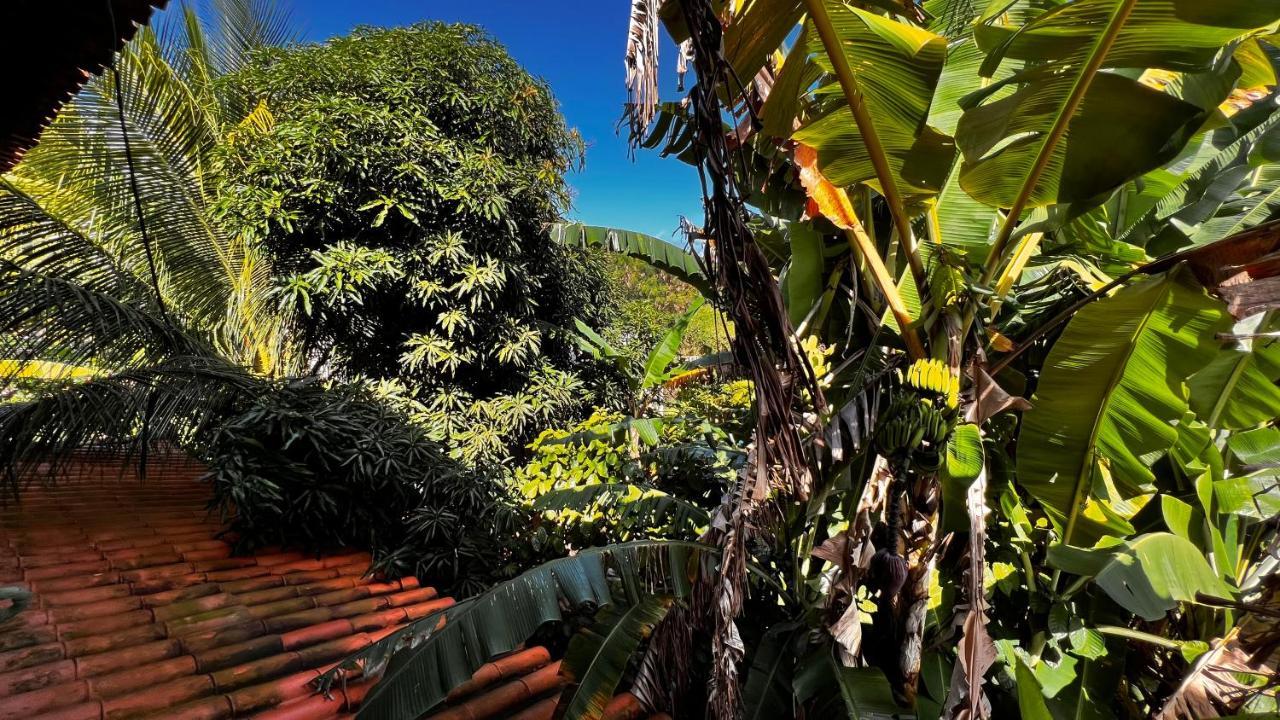 Отель Pura Vida Surf House Барра-Гранди Экстерьер фото